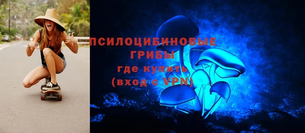 ECSTASY Абаза