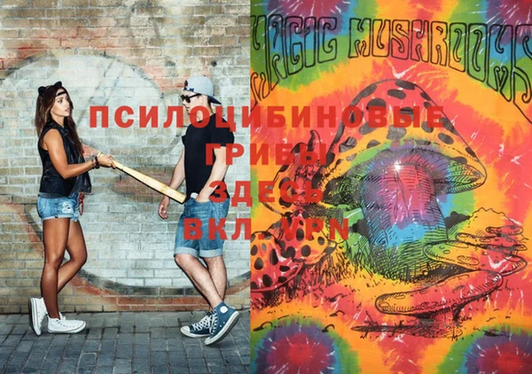 дживик Алексин