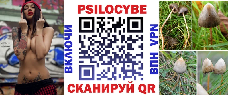 Псилоцибиновые грибы мухоморы  дарк нет клад  Цимлянск 